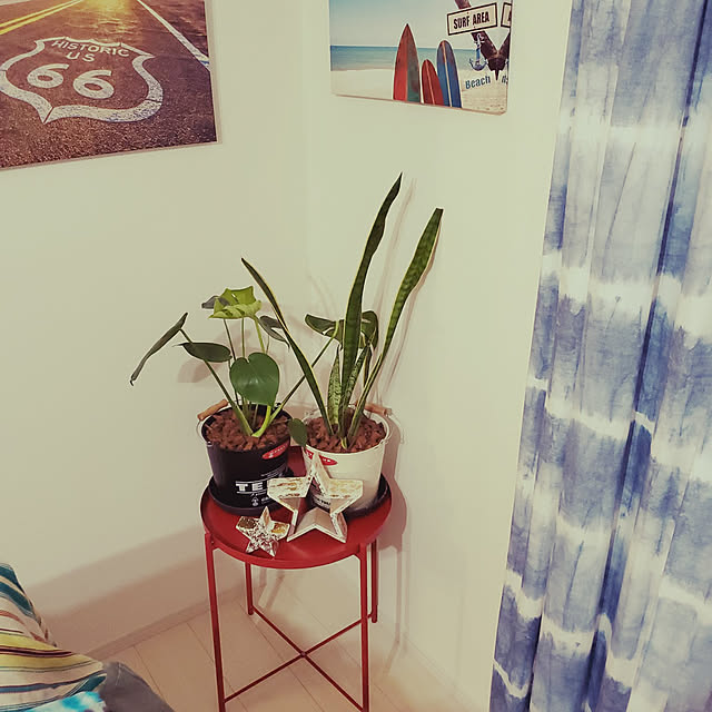 部屋全体/観葉植物/一人暮らし/DIY/男前...などのインテリア実例 - 2022-04-03 23:04:55