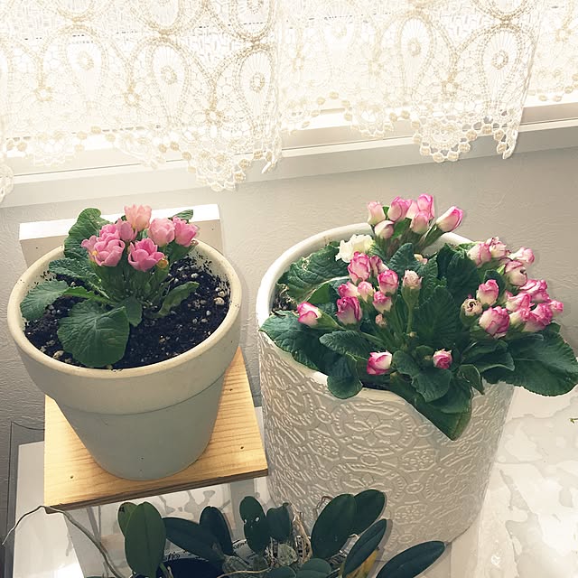 Sakura_hanaさんの実例写真