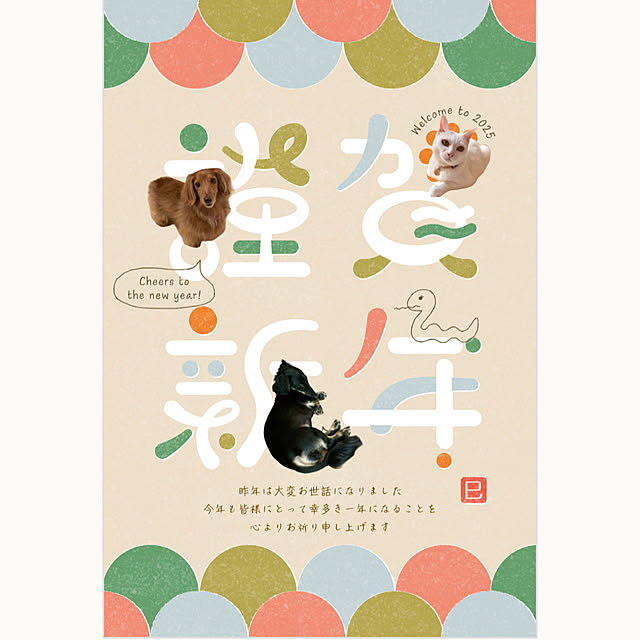 Maiさんの部屋