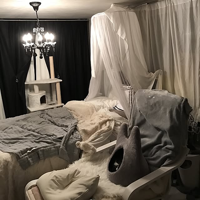 Shihoさんの実例写真