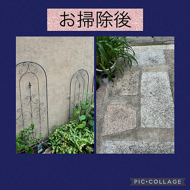 fumikoiさんの実例写真