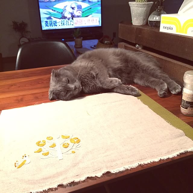 torinokoさんの実例写真