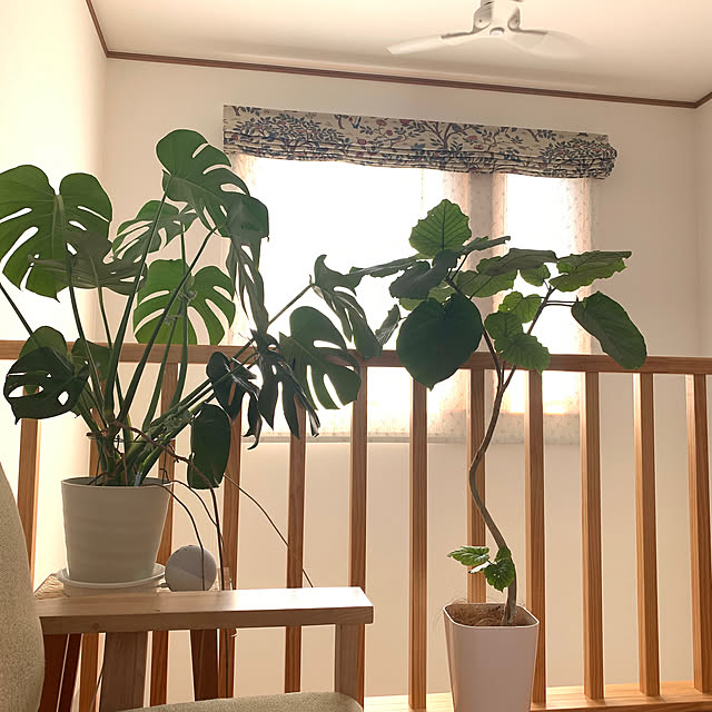 lalalaさんの部屋
