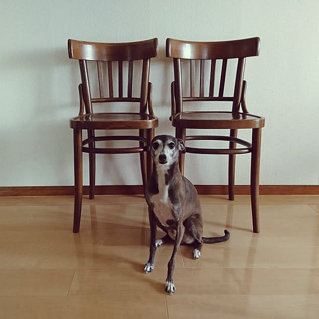 moruさんの実例写真