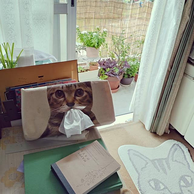 NOAHさんの実例写真