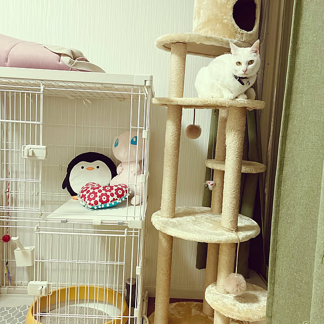 Maiさんの部屋