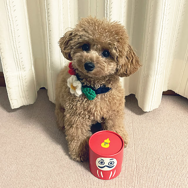 kawauso15さんの実例写真