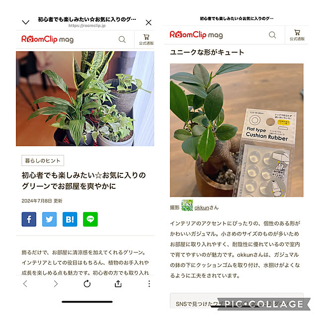 okkunさんの実例写真