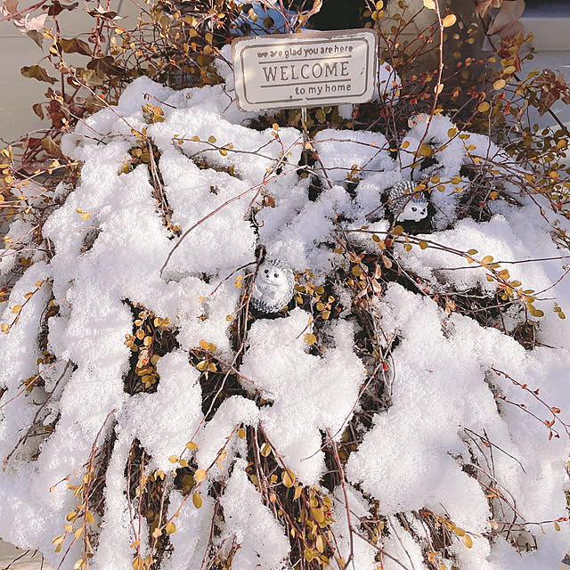 akiko-ovさんの部屋