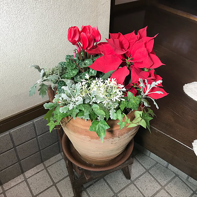enchiさんの実例写真