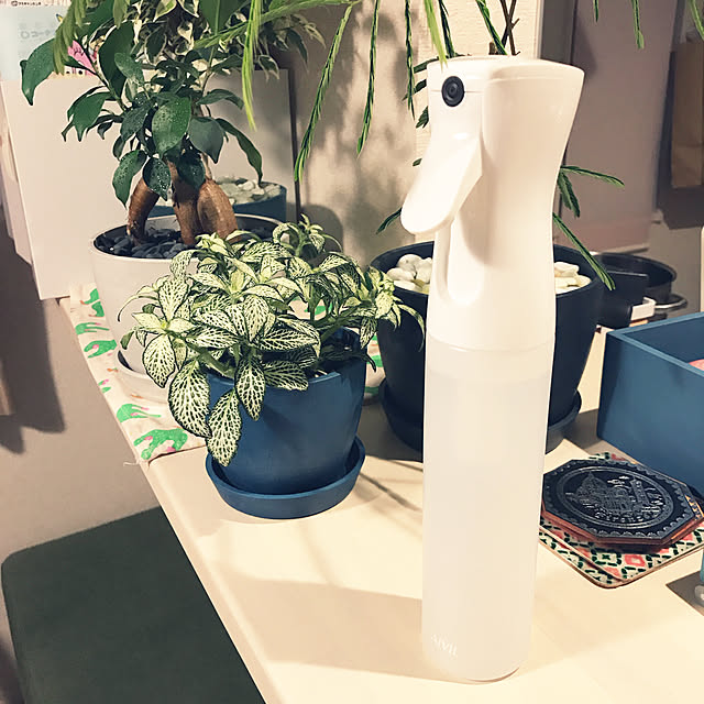 Chihiroさんの実例写真