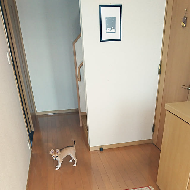 nattimomoさんの実例写真