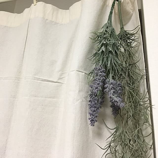 cccさんの実例写真