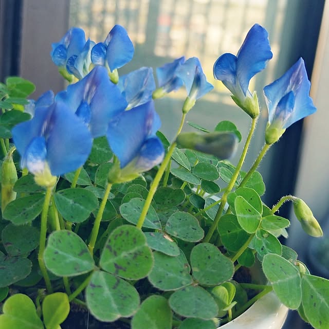 NOAHさんの実例写真