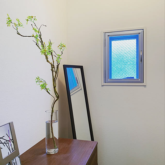 水差しグリーン/一人暮らし/北欧/観葉植物/ナチュラル...などのインテリア実例 - 2019-07-21 13:57:06