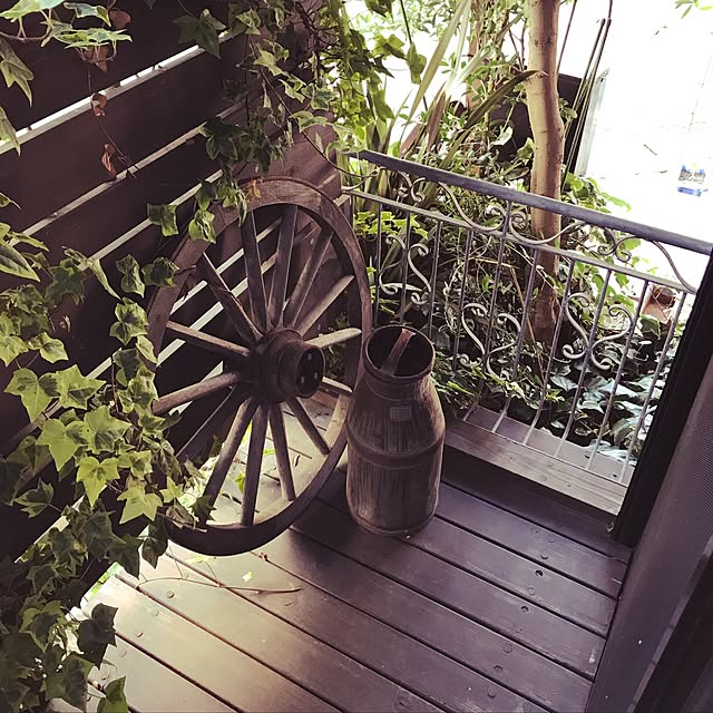dacchan37さんの実例写真