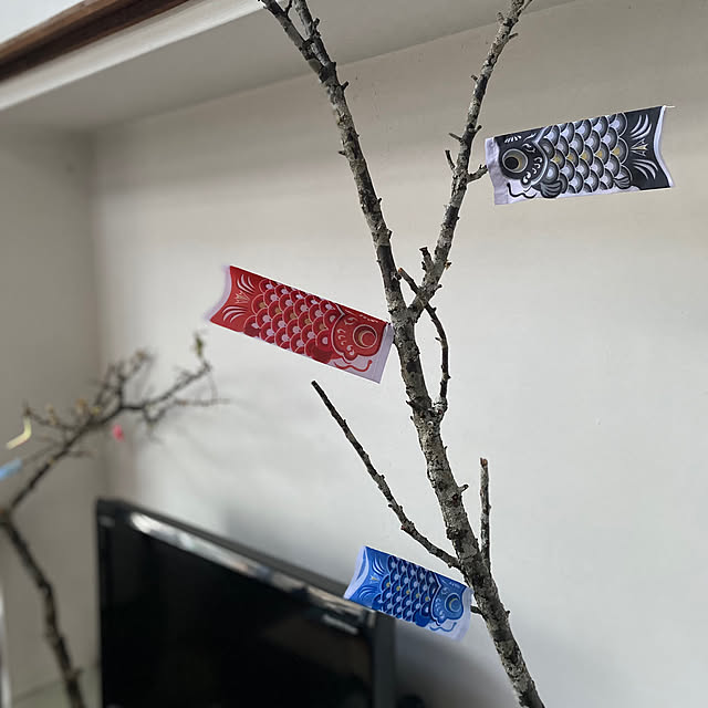 mukuさんの部屋