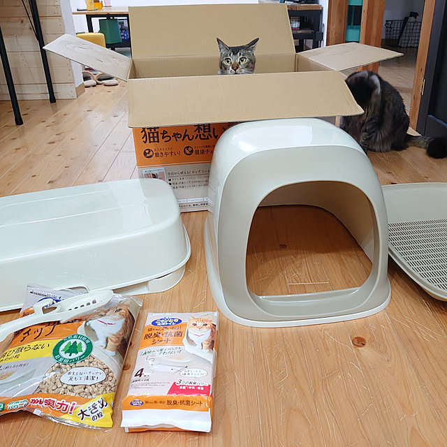 ayaさんの実例写真