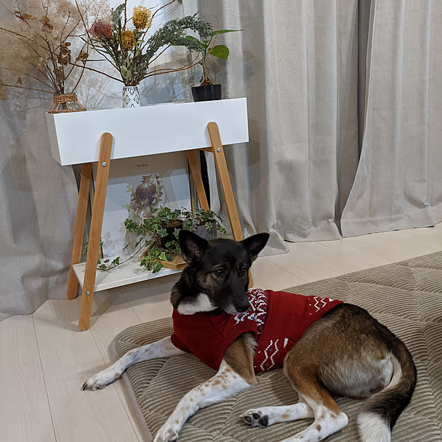 flannel.さんの実例写真