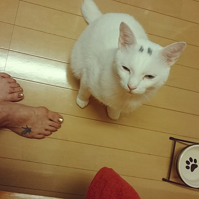 Macyuさんの実例写真