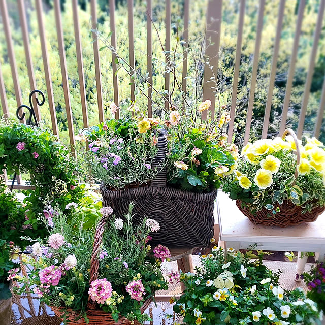maronnanaさんの実例写真