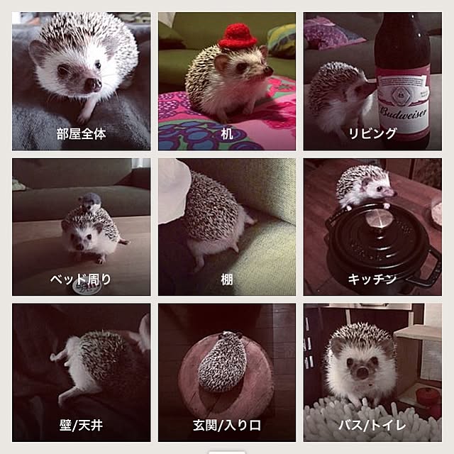 saokoさんの実例写真