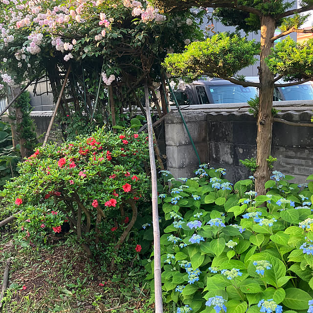 mottimoさんの部屋