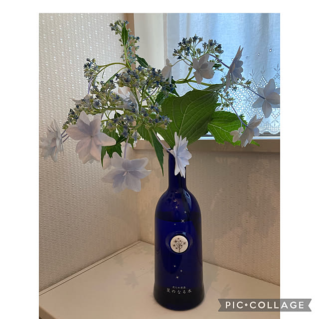 akkoさんの実例写真