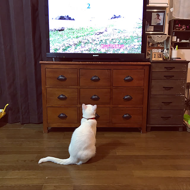 poppoさんの実例写真