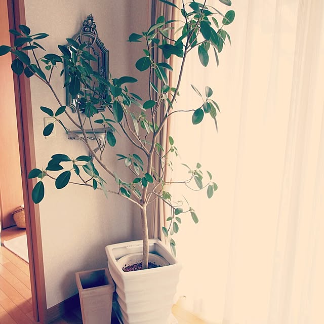 Chihiroさんの実例写真