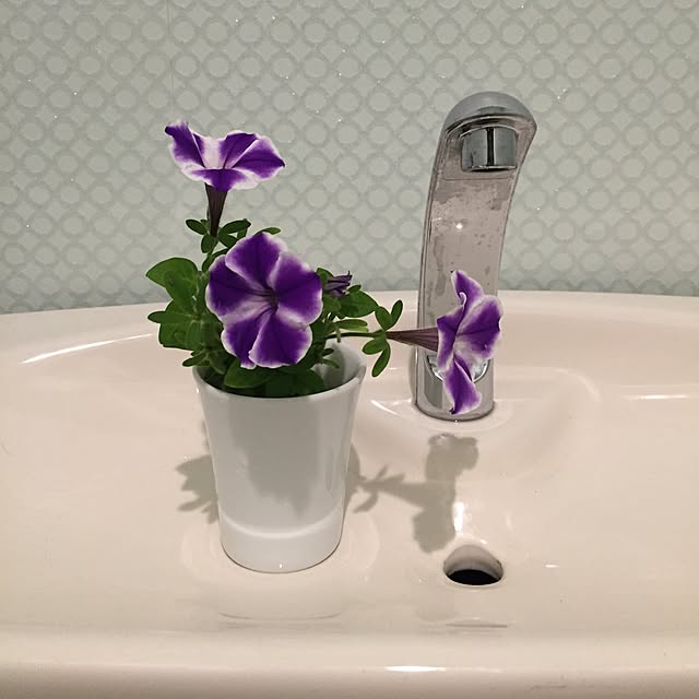 Yayoiさんの実例写真