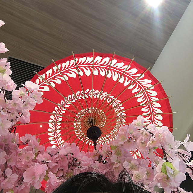 実例写真