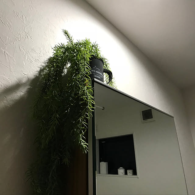 HAMUSUKEさんの実例写真