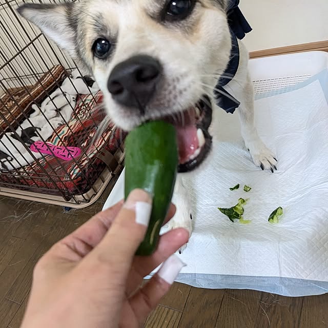 asaさんの部屋