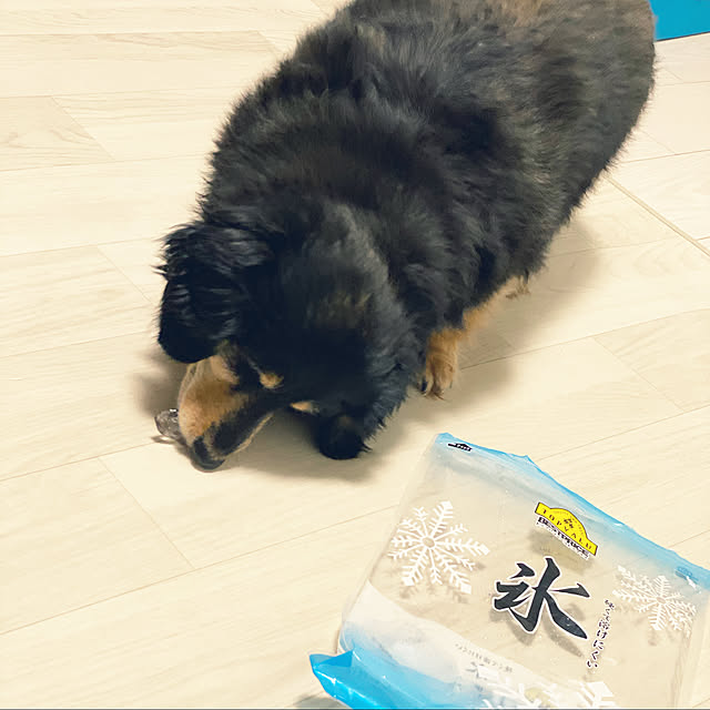ohanaさんの実例写真