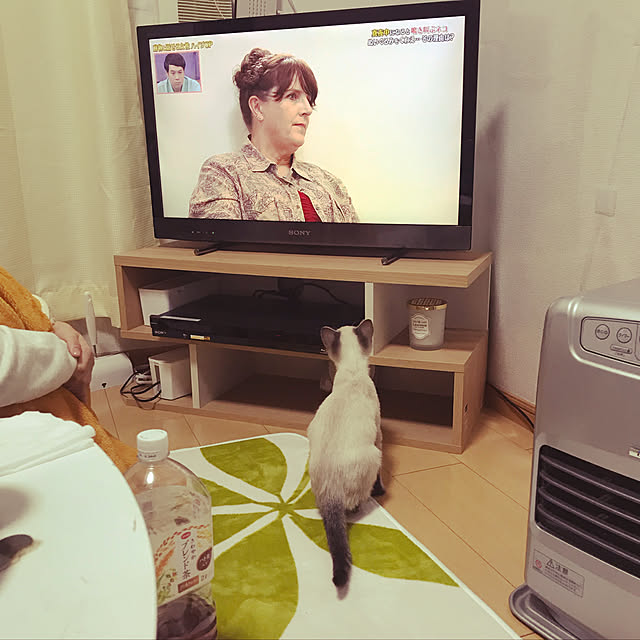 kinakoさんの実例写真