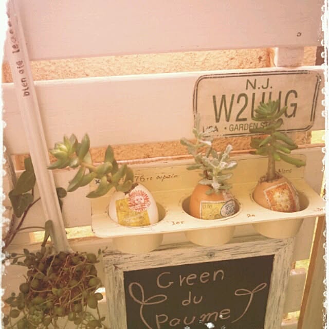 popoさんの実例写真