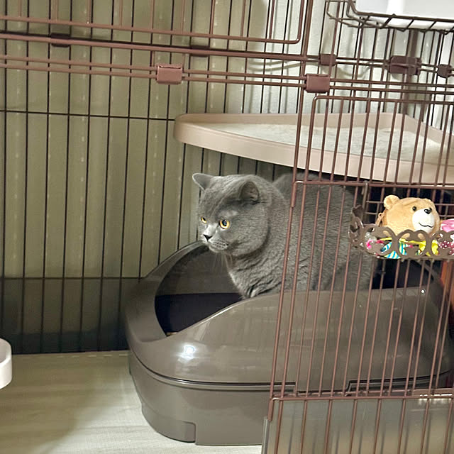kittyさんの実例写真