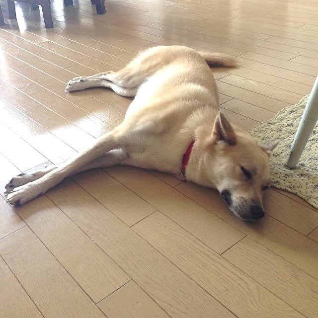 leonaさんの実例写真