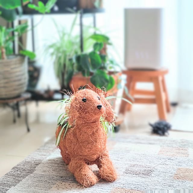 YuriYuriさんの実例写真
