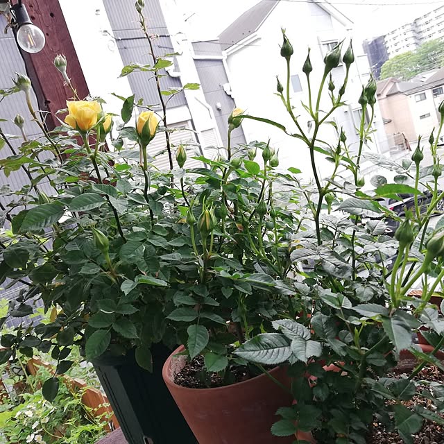 kazuさんの部屋