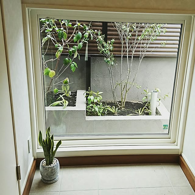 pyocoさんの実例写真