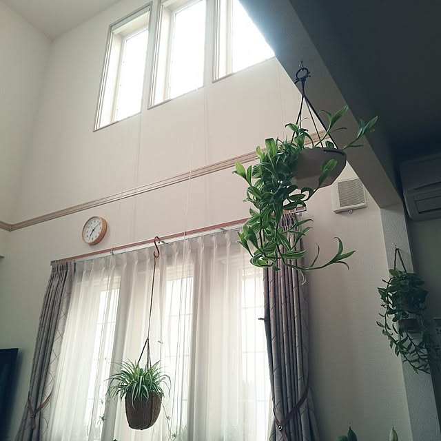 nao525さんの実例写真