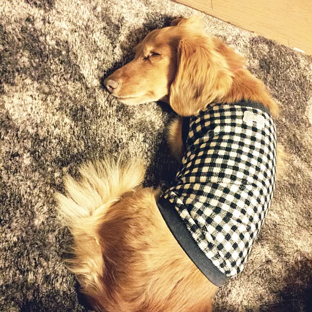 sumireさんの実例写真