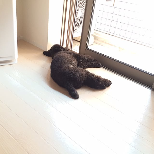 Mさんの実例写真