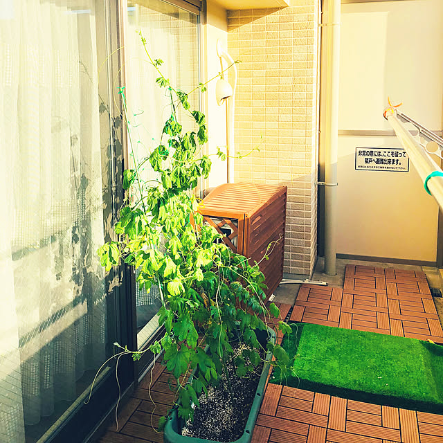 bachikoさんの実例写真
