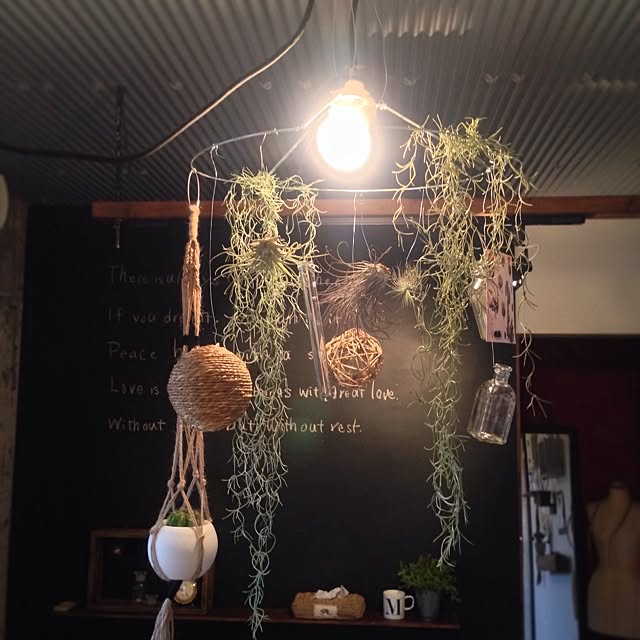 壁/天井/BeauBelle/プラントハンガー/いなざうるす屋さん/DIY...などのインテリア実例 - 2014-06-29 18:37:43