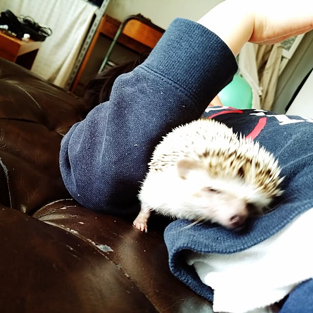 kuruさんの実例写真