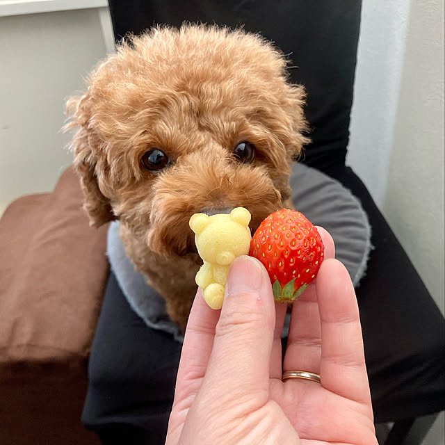 MOMOMAMAさんの実例写真