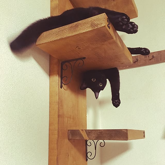 mahi1101さんの実例写真
